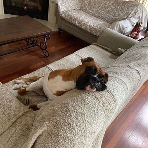 Meet your Posher, Mariam